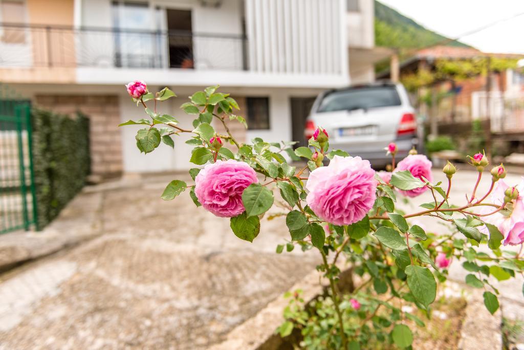 D@D Apartment Kotor Ngoại thất bức ảnh